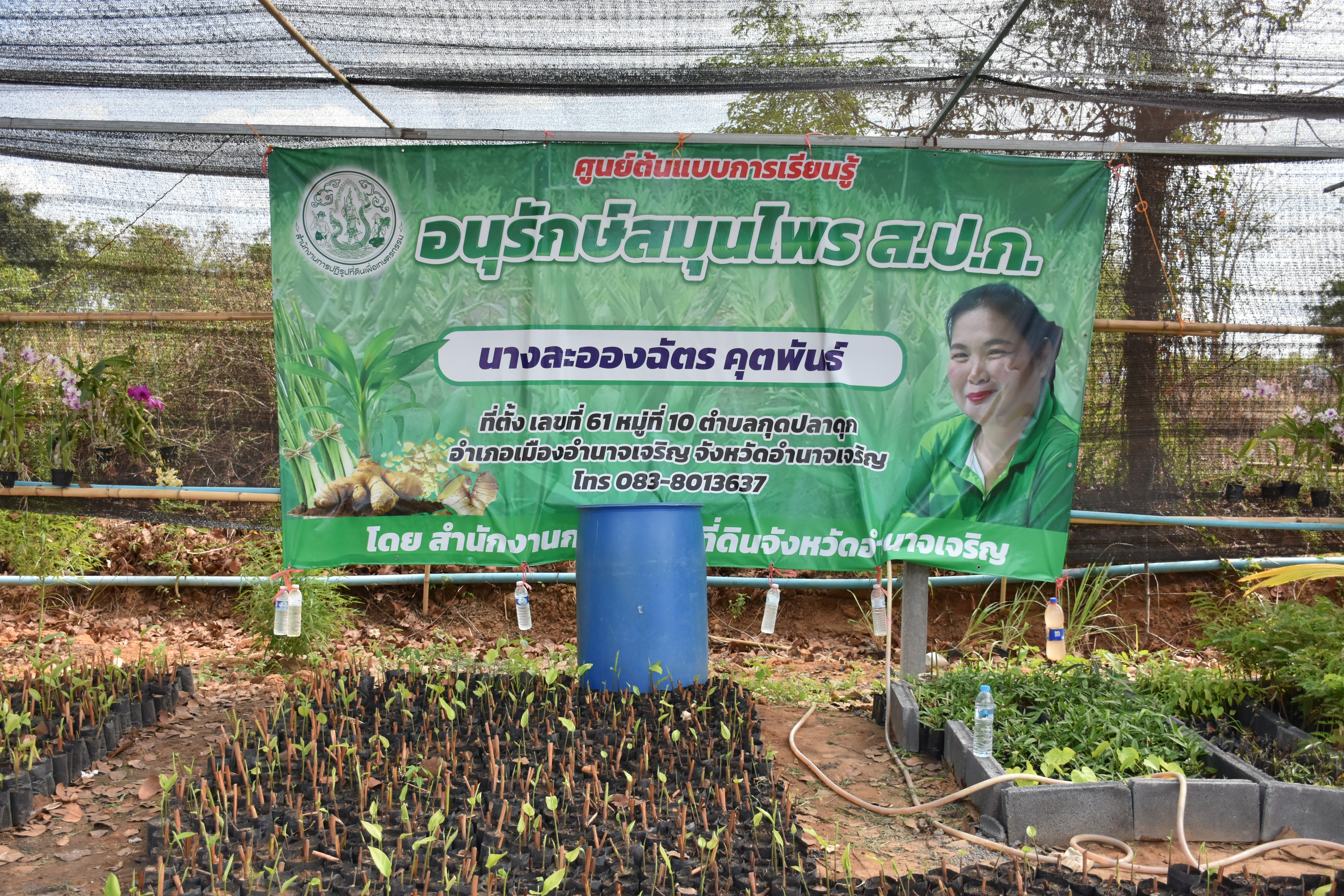 title - ผู้ตรวจราชการกระทรวงเกษตรและสหกรณ์ เขตตรวจราชการที่ 14 (นางสุวรรณี ศรีสุวรรณ์) และคณะผู้ตรวจราชการกรม ลงพื้นที่ตรวจติดตามนโยบายยกระดับสินค้าเกษตรและบริการมูลค่าสูง การพัฒนาสินค้าเกษตรมูลค่าสูง โครงการส่งเสริมและพัฒนาสินค้าเกษตรชีวภาพ (สมุนไพร) ณ แปลงใหญ่สมุนไพร หมู่ 10 บ้านห้วยร่องคำ ตำบลกุดปลาดุก อำเภอเมืองอำนาจเจริญ จังหวัดอำนาจเจริญ